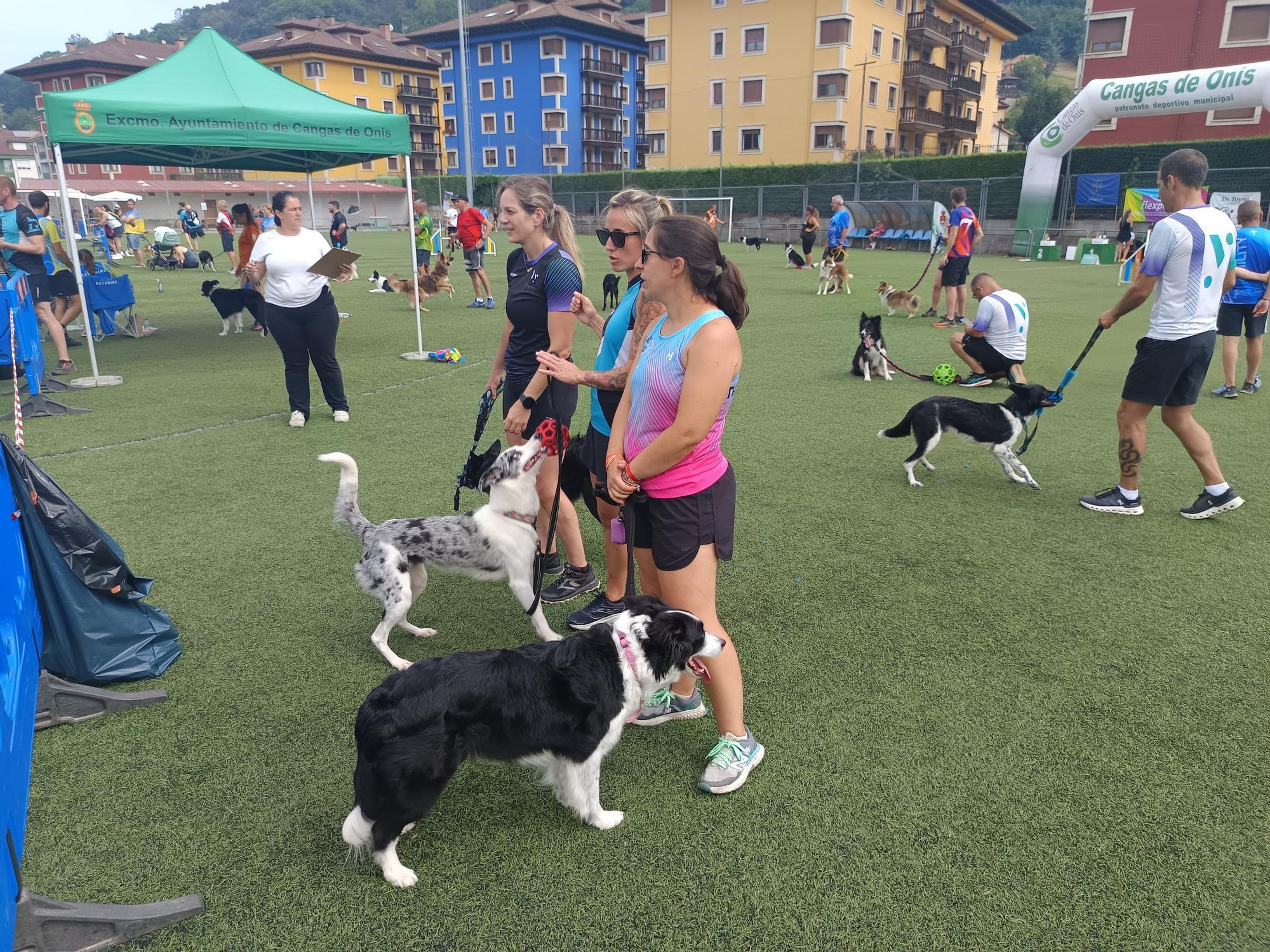 Rotundo éxito del VI Trofeo Agility "Ciudad de Cangas de Onís"