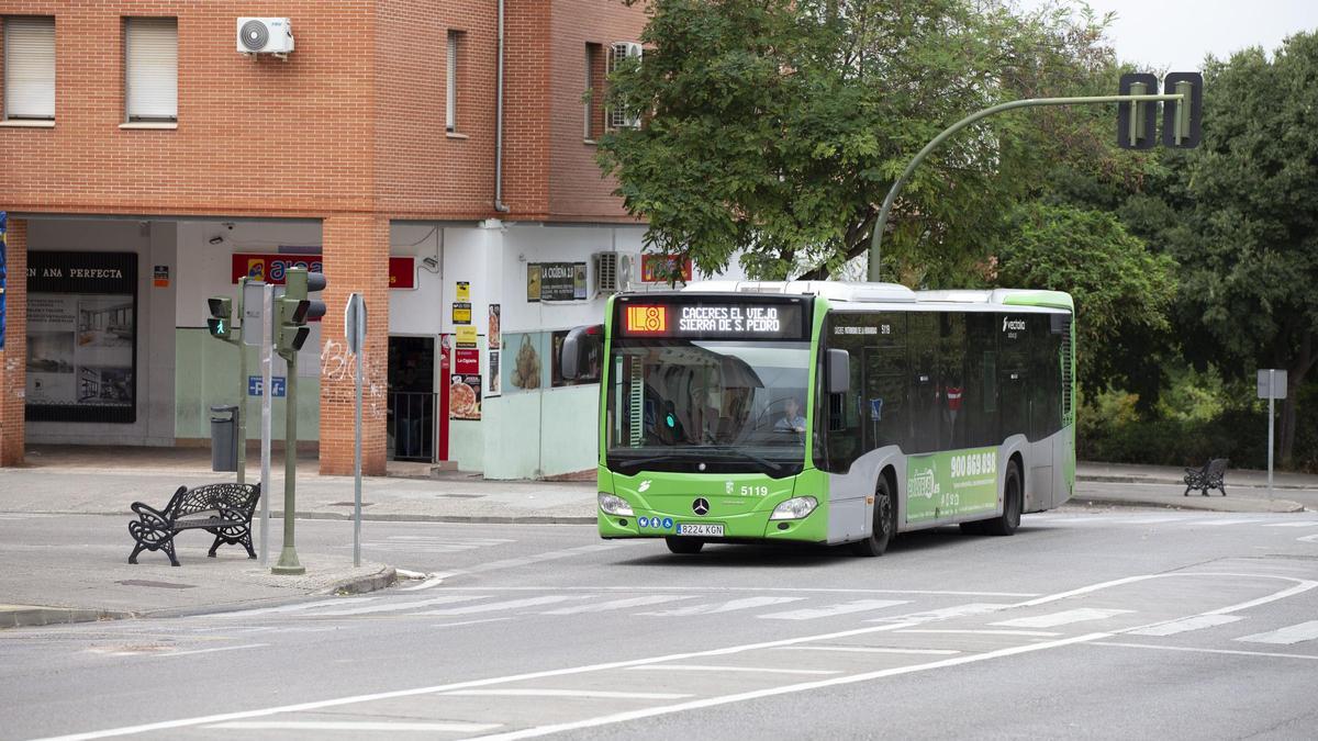 Autobús urbano en el barrio de Mejostilla.