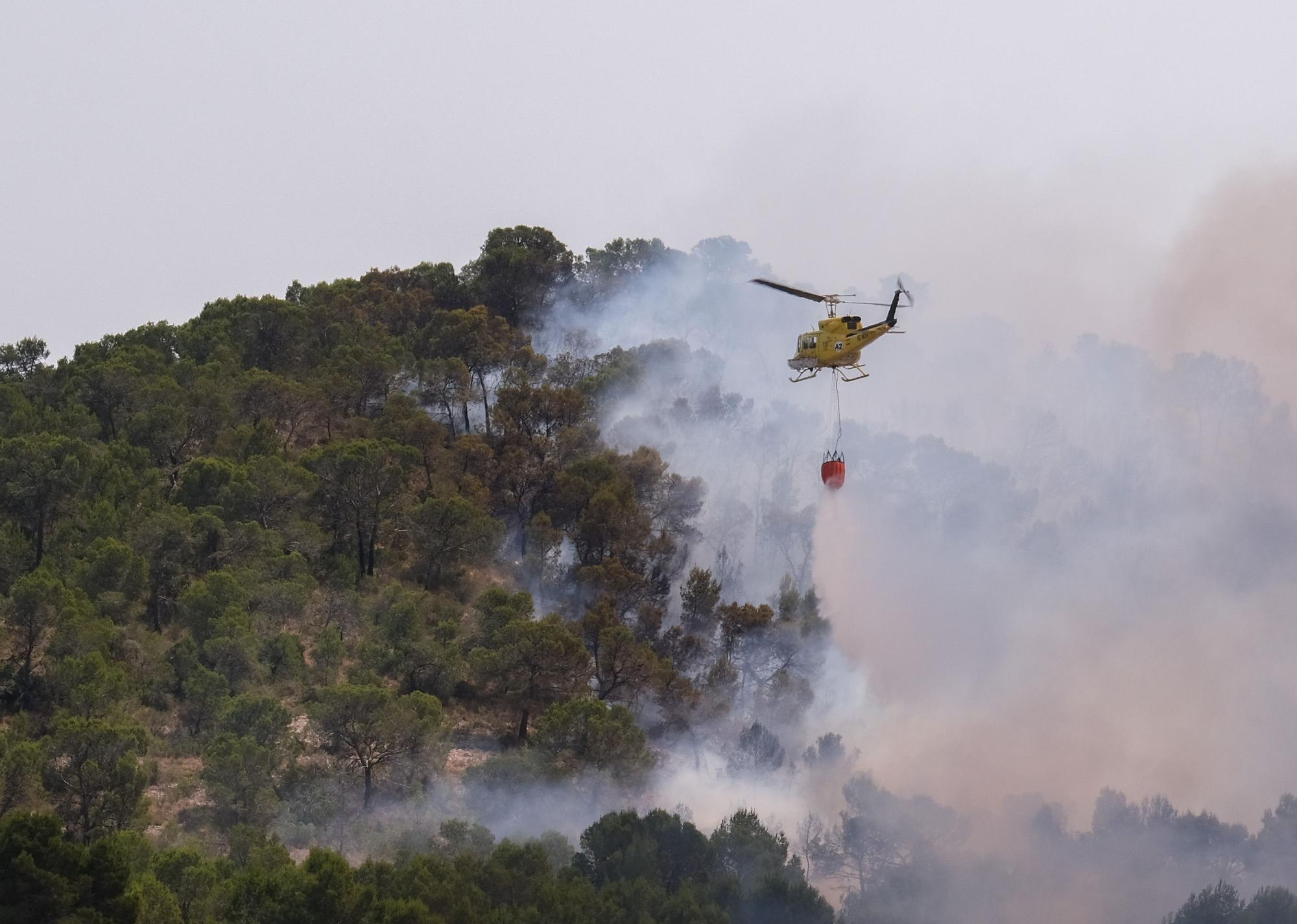 Un año después del incendio forestal en la sierra de la Zafra y Las Pedrizas de Monóvar la zona presenta un aspecto desolador