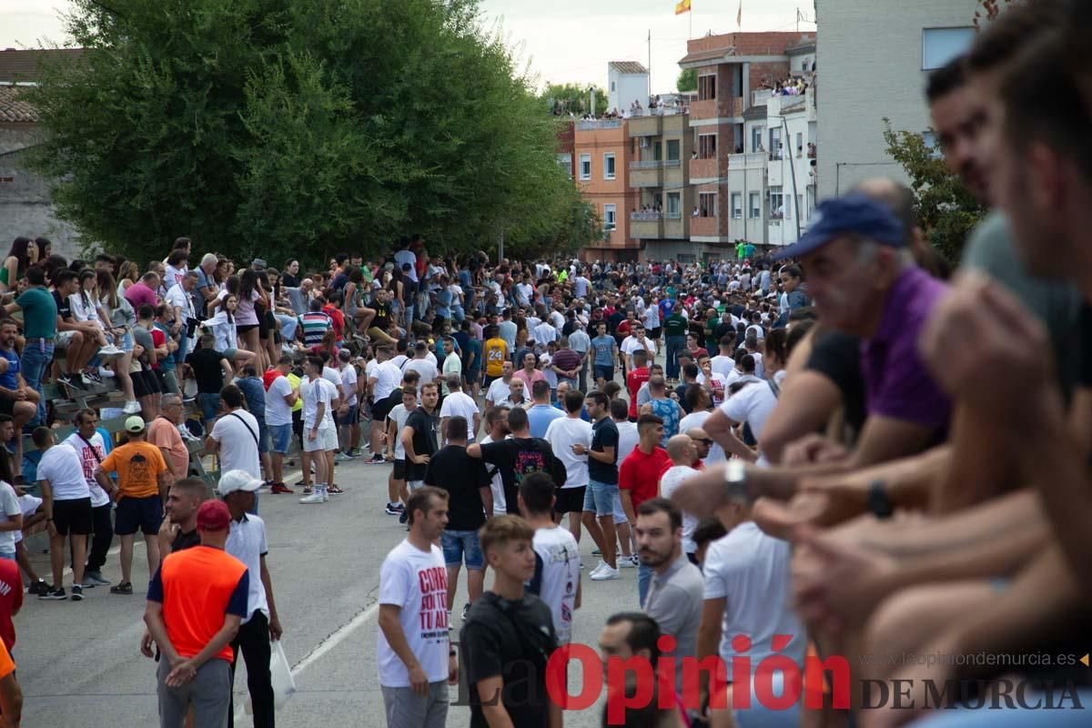 Primer encierro de la Feria del Arroz de Calasparra