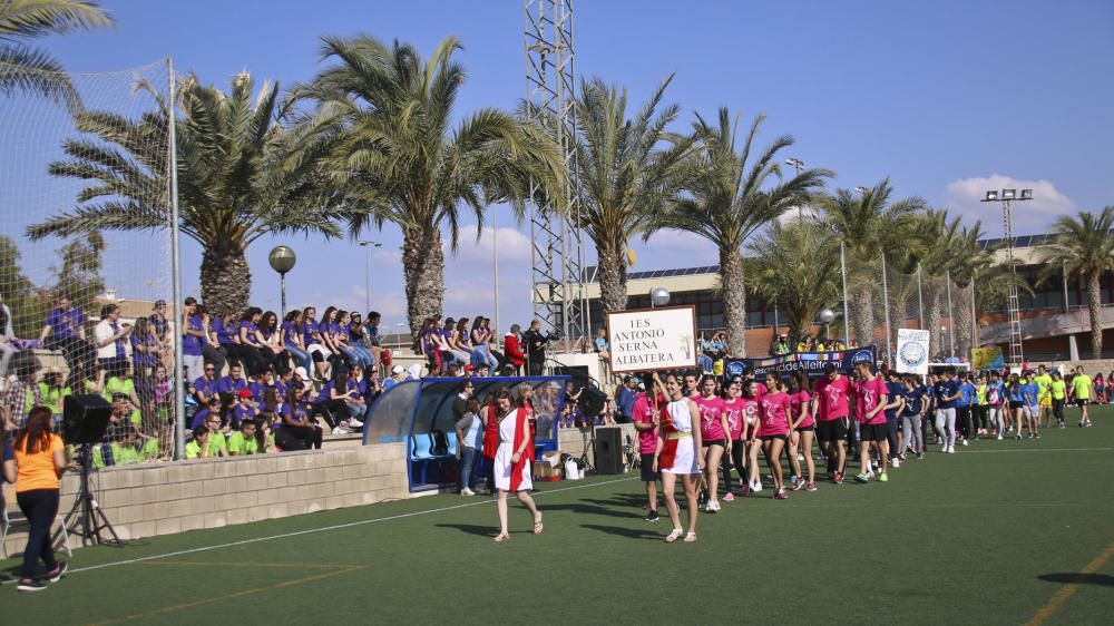 Más de 1.300 estudiantes de las comarcas de la Vega Baja y el Baix Vinalopó participan en la X edición de las Olimpiadas Clásicas.