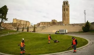 La discapacidad clama por la plena integración laboral