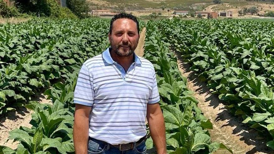 &quot;El 90% de los vecinos de Aldeanueva de la Vera son cultivadores de tabaco&quot;