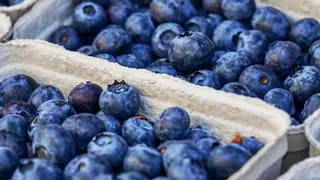 Añadir este fruto a tus desayunos mejorará por completo tu salud integral