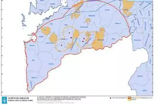 La plaga del nematodo del pino se extiende y Medio Rural pone en cuarentena a la mitad sur de Pontevedra
