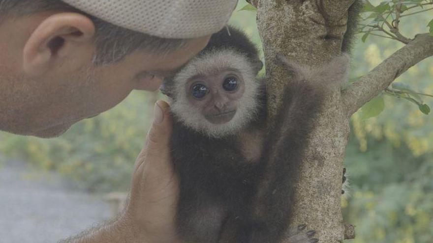 &#039;Frank de la jungla&#039; vuelve con &#039;Wild Frank al rescate&#039;