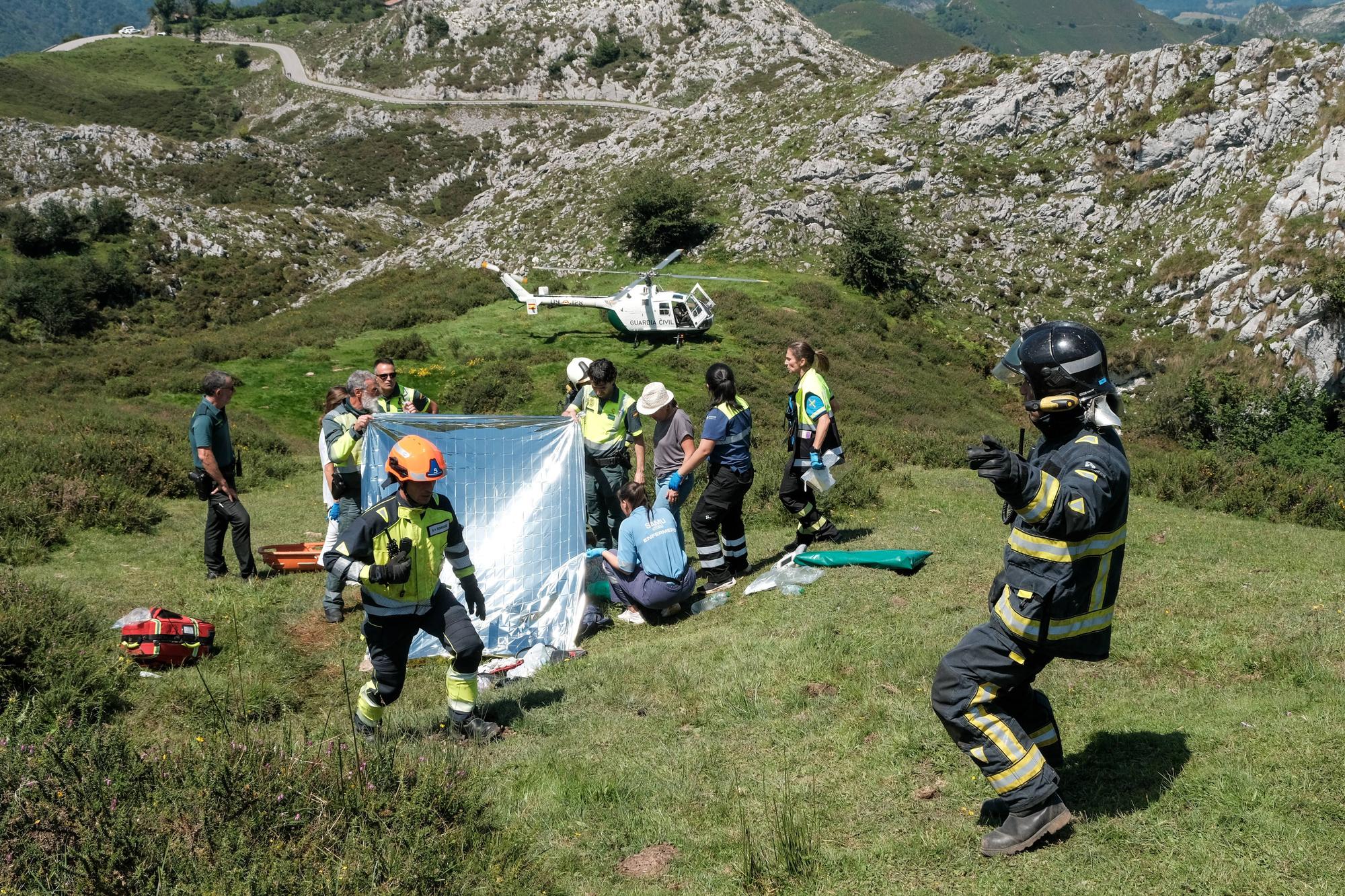 Grave accidente en Covadonga al despeñarse un autobús con niños que iba a los Lagos