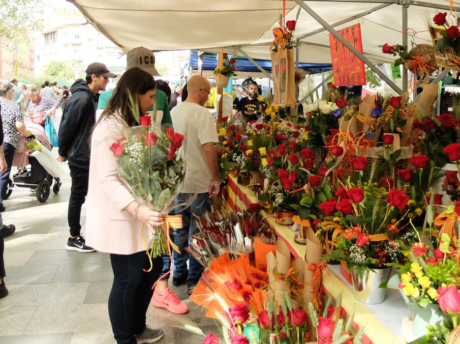 La Diada de Sant Jordi a l''Alt Empordà