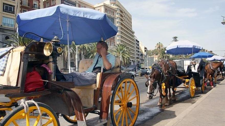 Coches de caballos recorren la ciudad.