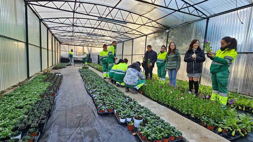 Una nueva vida para el vivero municipal de Caravaca, gracias a un plan de empleo juvenil