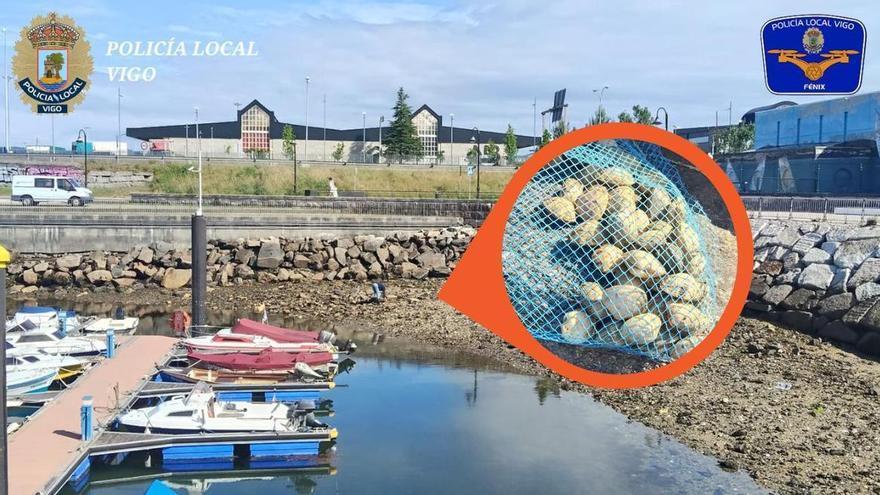 El dron de la Policía Local de Vigo caza a un furtivo con 600 gramos de almejas
