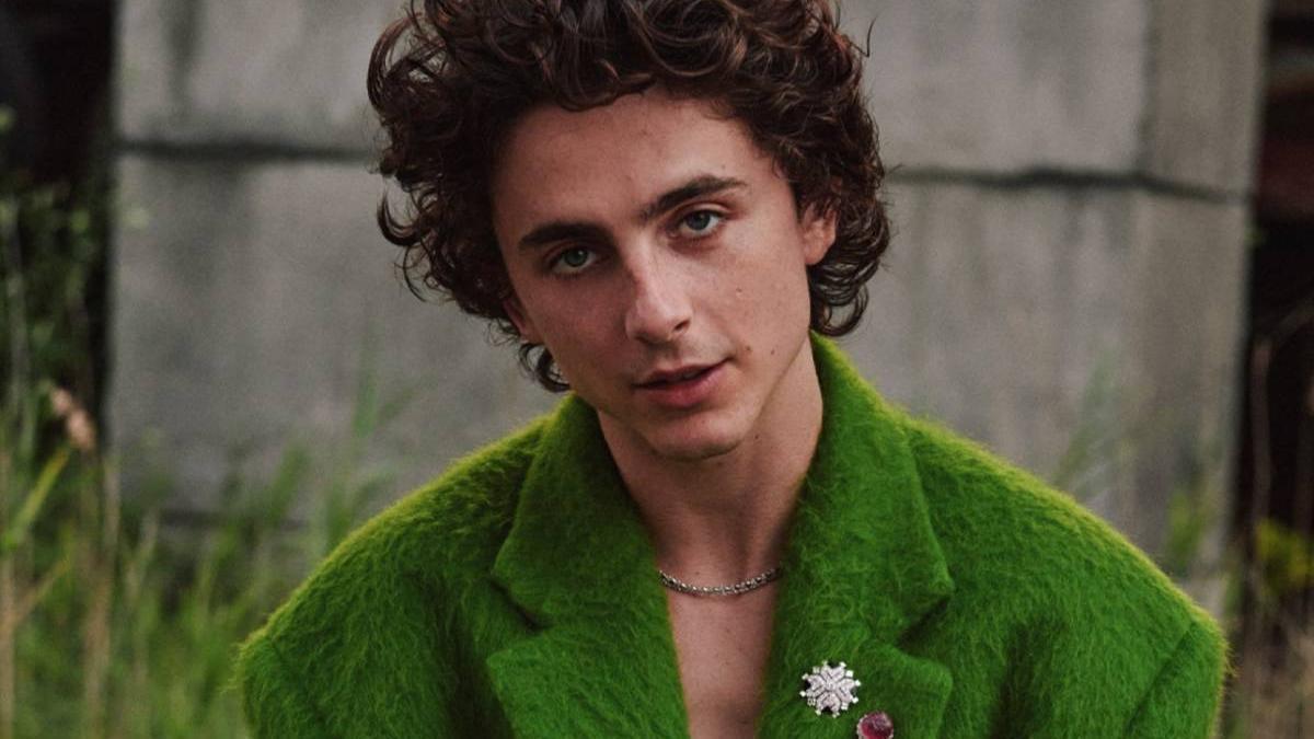 Timothée Chalamet, inspirado por Armie Hammer para grabar una peli (sí, Armie Hammer)