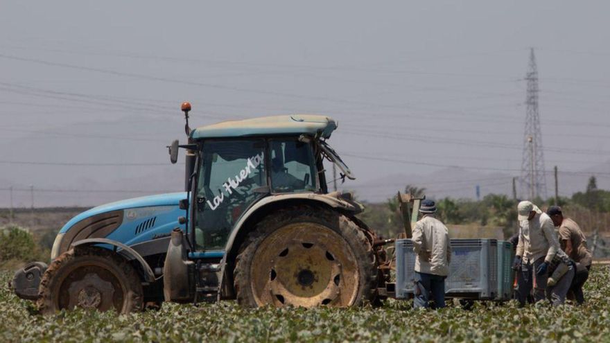Abonan 4,8 millones a más de 200 jóvenes agricultores