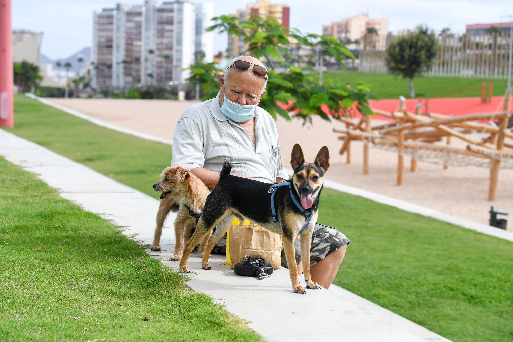 Jornada de domingo en el parque de La Ballena