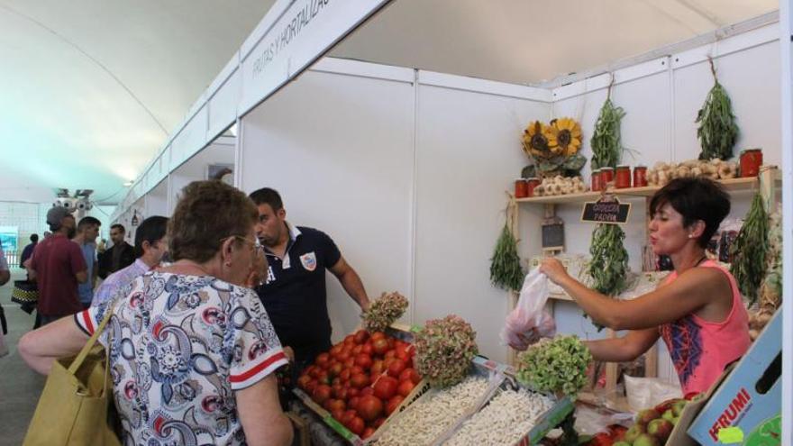 Actividad en una edición anterior de Agrosiero. |  | PAULA FERNÁNDEZ