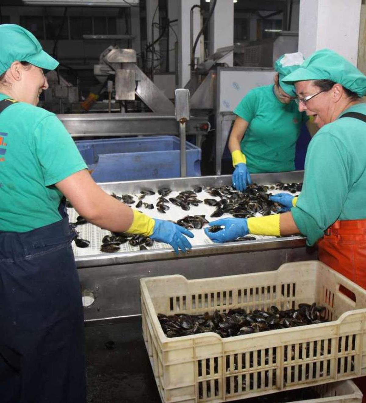 Instalaciones de Remagro, una de las firmas que trabajan mejillón con DOP. En el recuadro, los logotipos diferenciadores.