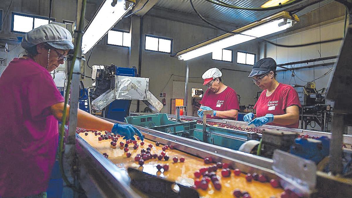 Cerezas extremeñas en el corazón de los bombones Mon Chéri
