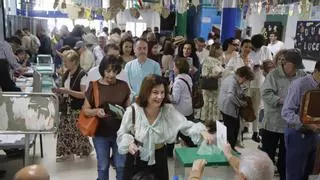 Córdoba vota en las elecciones de Andalucía en una jornada primaveral con alta participación, pocas anécdotas y la Feria al final del túnel