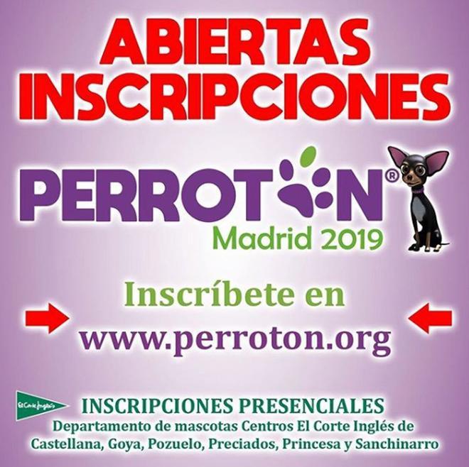 Planes para la semana 16 de 2019