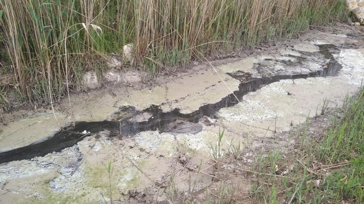 El lodo procedente de las aguas residuales depositado en el cauce del Rodriguillo.