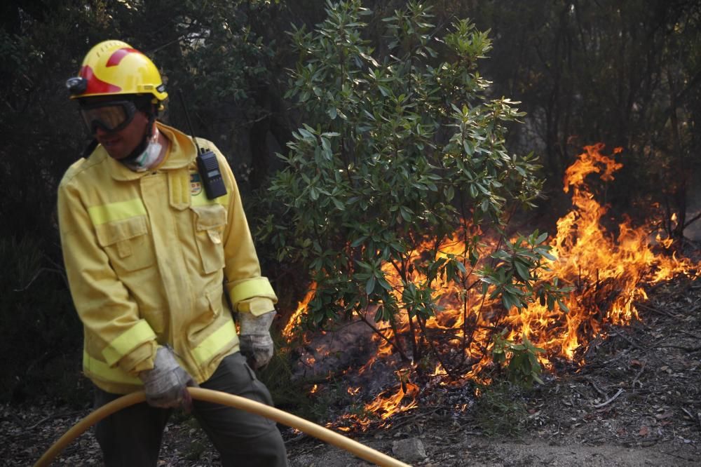 Incendi forestal a Blanes