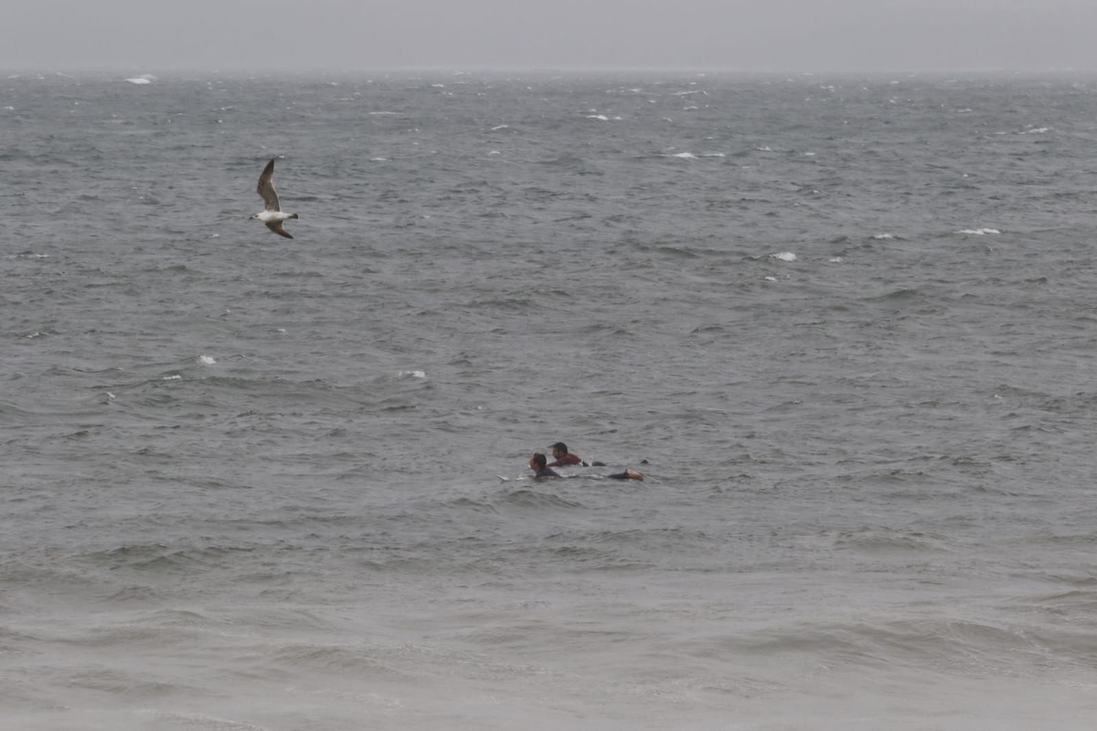 Gaetan azota Vigo con rachas de viento de más de 100 km/h