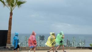 Unj grupo de turistas en Canarias.