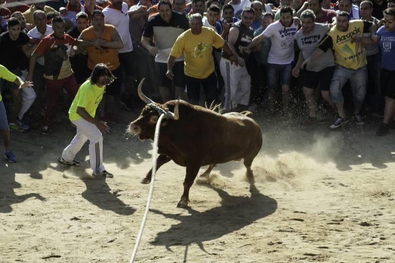 La carrera del Toro Enmaromado 2017 Razonador