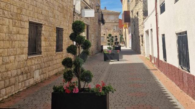 Las flores y  zonas verdes enbellecen las calles del pueblo.