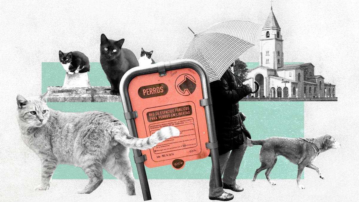El número de mascotas en Gijón no para de crecer