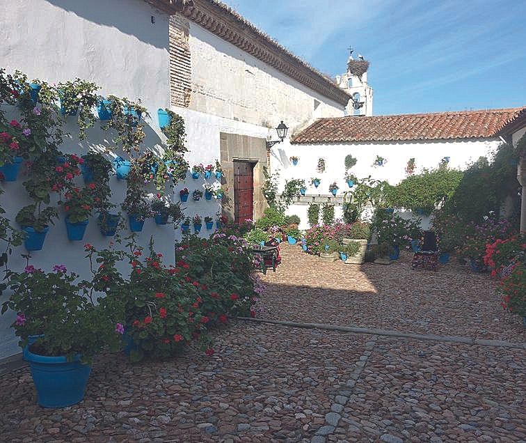 Patio Francisco Botello 16, de Pedroche, primer premio de Patios en 2025.