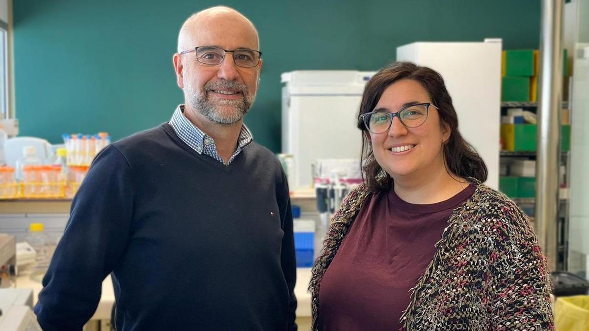 Desè cas de curació del VIH després d’un trasplantament de cèl·lules mare