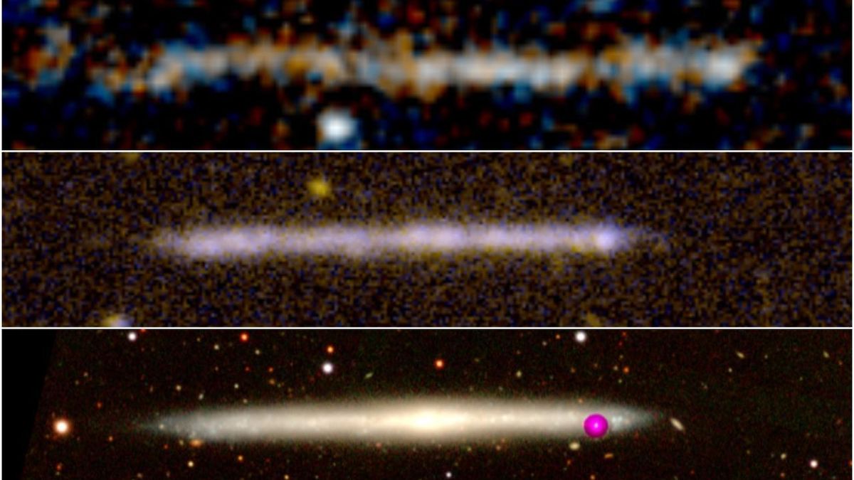 Comparación entre una traza de estrellas y la galaxia de canto.