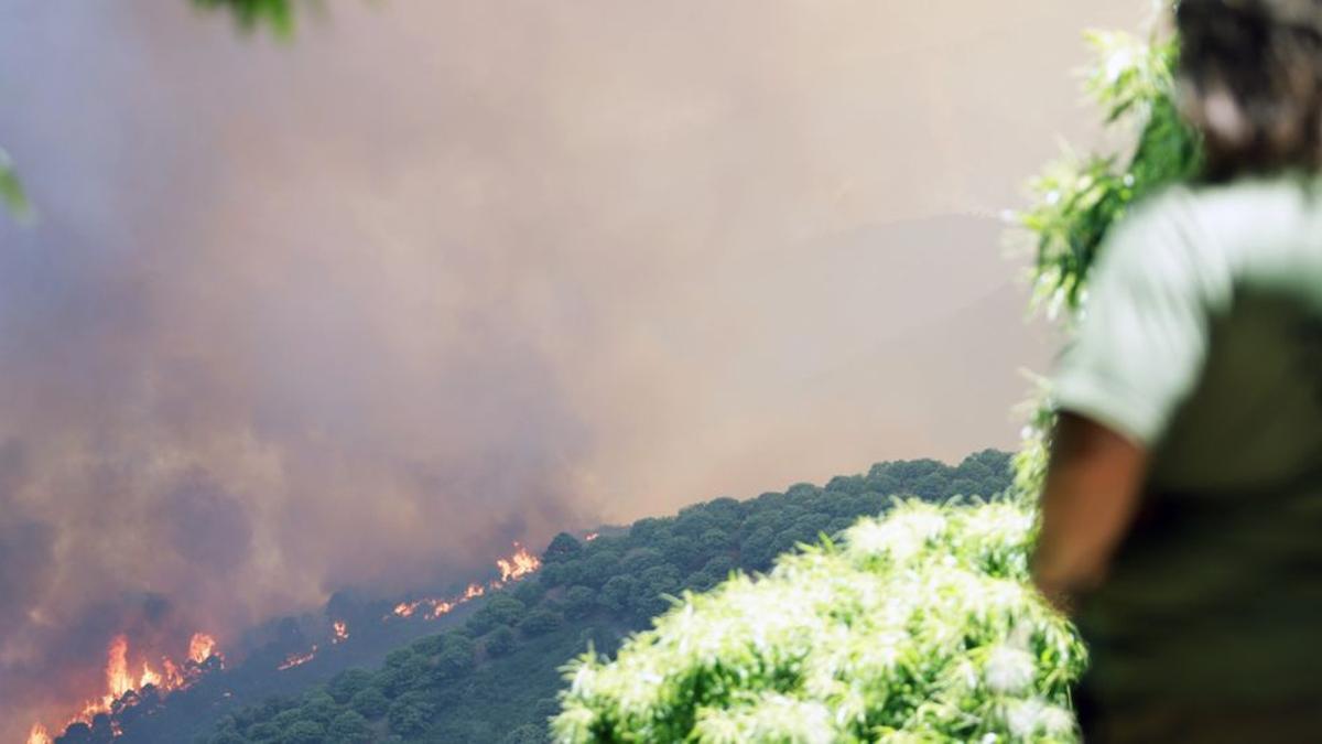 Imagen del incendio de Pujerra tomada el 9 de junio.