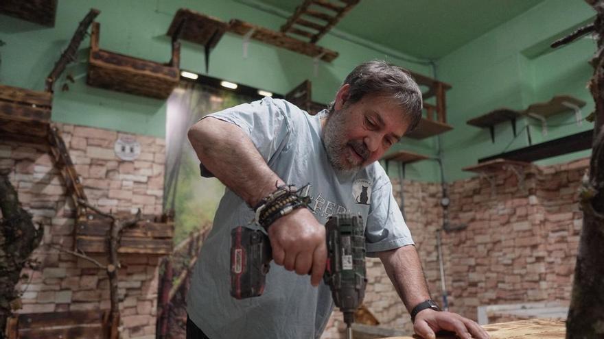 El 'cat café' de Culleredo se muda a Carral