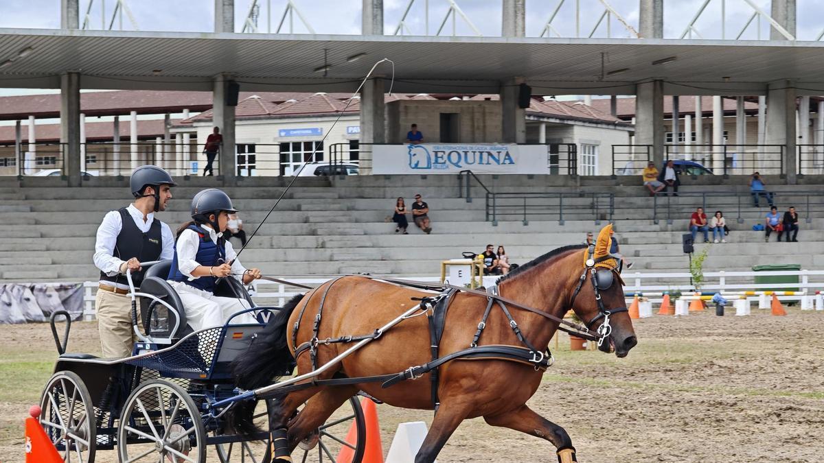 Participantes prueba enganches en Equina Galicia 2025