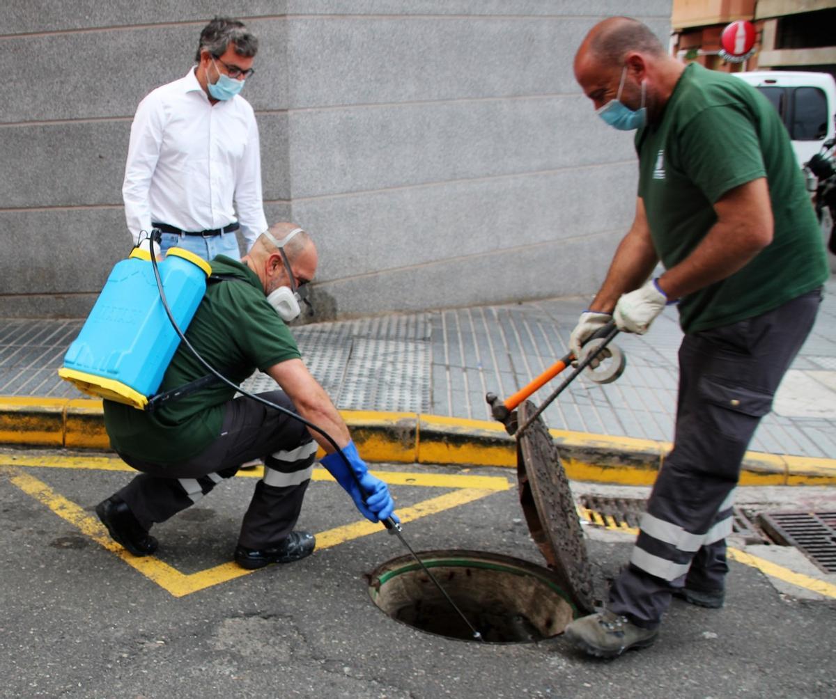 Imagen de alguna de las intervenciones realizadas por Salud Pública en el municipio de Las Palmas de Gran Canaria para el control de plagas.