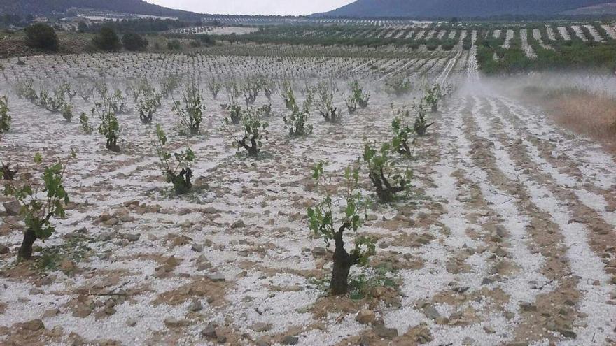 La Comunidad duplica la dotación de los seguros agrarios