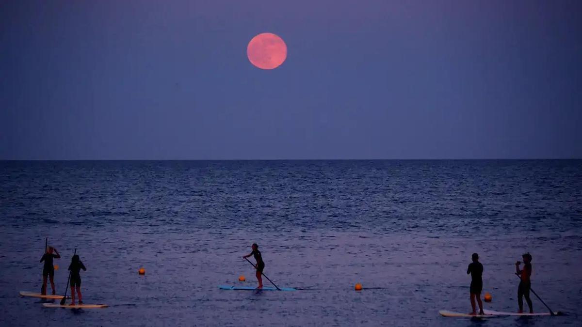 Así se verá la luna de fresa en Málaga.