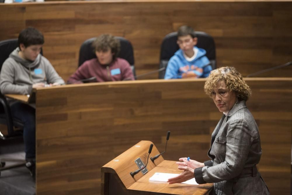 Visita escolar a la Junta General