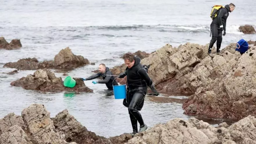 Los aficionados acarician la vuelta al pedreru a por oricios en Asturias