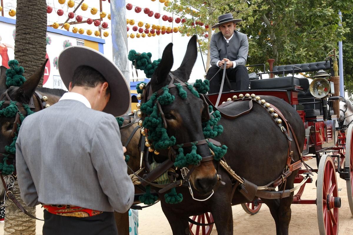 Domingo de feria en El Arenal