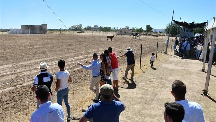 Comienza el concurso de Acoso y Derribo