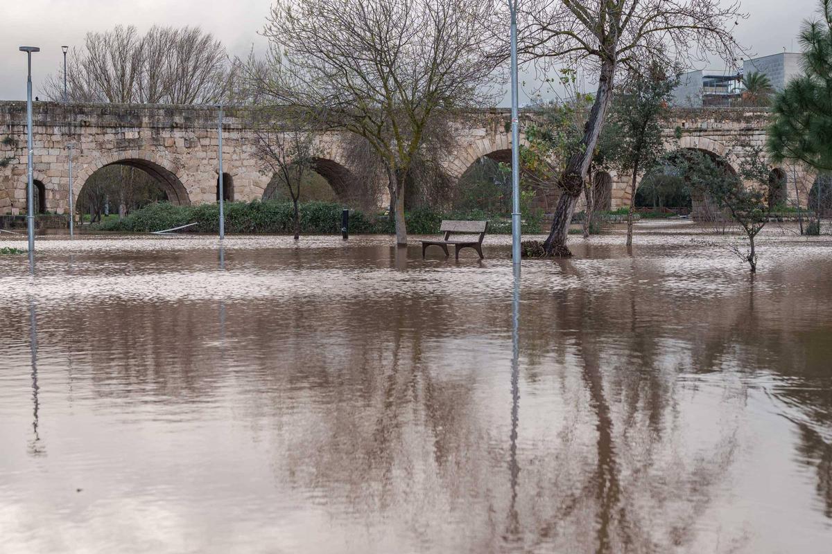 Fotogalería | Así se encuentra este viernes la isla de Mérida tras la subida que ha experimentado el caudal del Guadiana