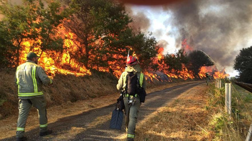 Activo un incendio en Lalín que ha arrasado 20 hectáreas