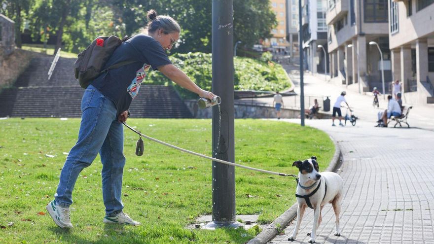Los dueños de perros en A Coruña celebran las nuevas sanciones: &quot;La gente aprende por las malas&quot;
