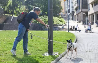 Los dueños de perros en A Coruña celebran las nuevas sanciones: "La gente aprende por las malas"