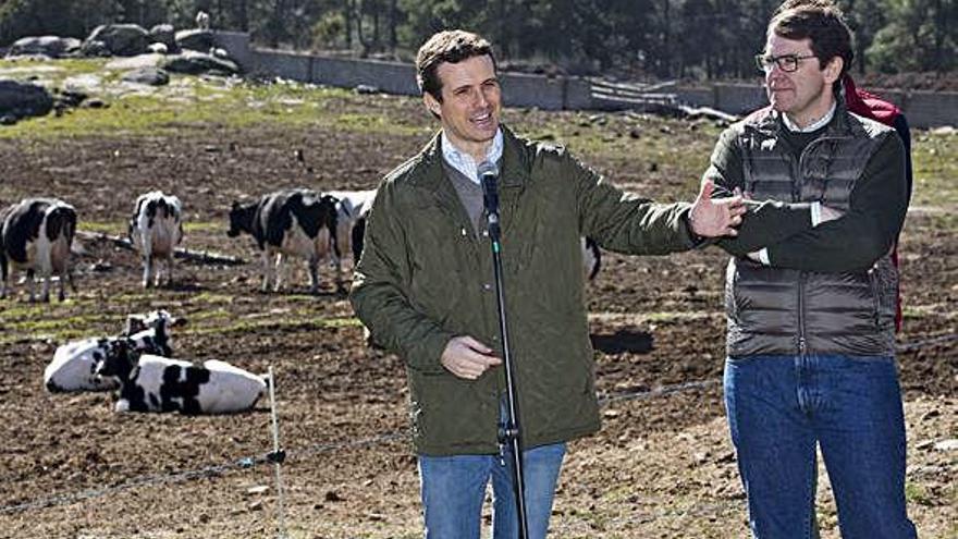 Pablo Casado visita una explotación ganadera en Ávila junto a Alfonso Fernández Mañueco.