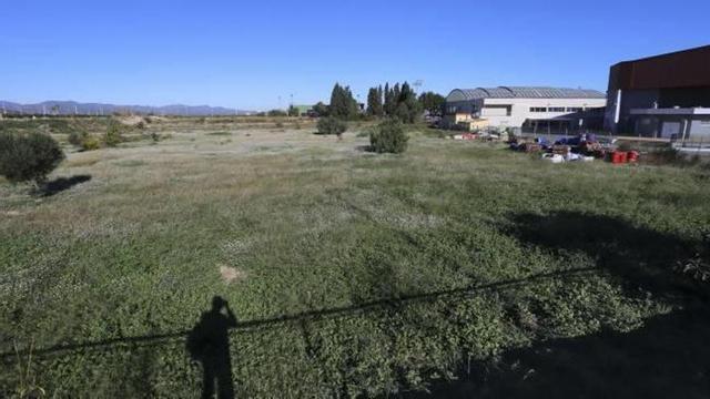 Sagunt ampliará el polideportivo internúcleos 93.000 m2 al oeste