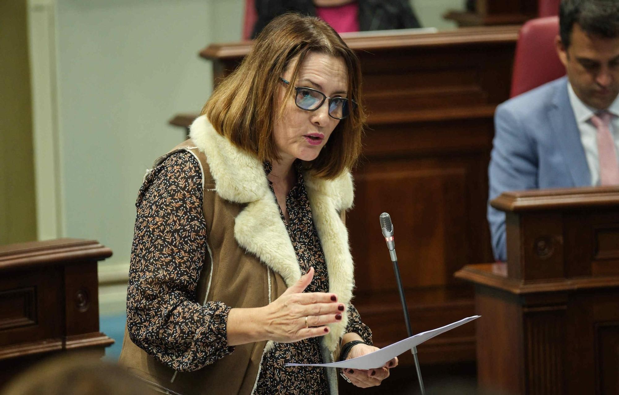Pleno del Parlamento de Canarias (07/11/2023)